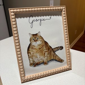 Victoria heeft een foto van de aankoop toegevoegd