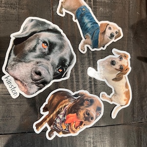 Mochi added a photo of their purchase