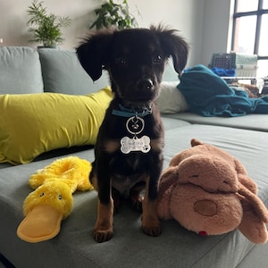 Comprador de Etsy ha añadido una foto de su compra