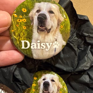 Shannon adicionaram uma foto da sua compra