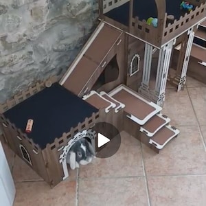Tommaso added a photo of their purchase