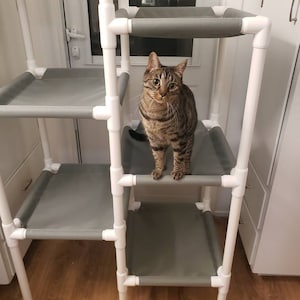 Julie added a photo of their purchase
