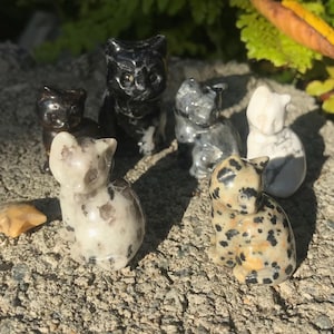 Quasarian adicionaram uma foto da sua compra