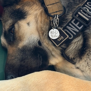 Allie added a photo of their purchase