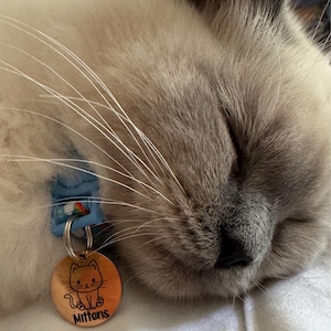 M added a photo of their purchase