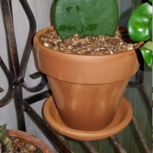 carrie added a photo of their purchase