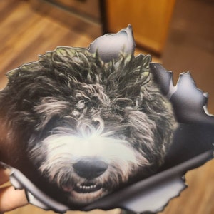 S added a photo of their purchase