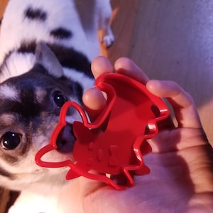 Maj added a photo of their purchase