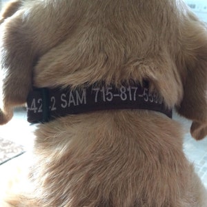 Nanette added a photo of their purchase