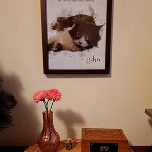 Cathy added a photo of their purchase