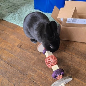 Terri added a photo of their purchase