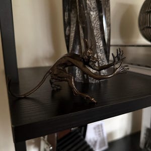 Biaggo added a photo of their purchase