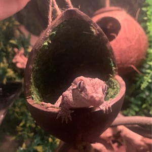 Mckenzie added a photo of their purchase