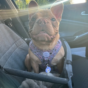Paige added a photo of their purchase