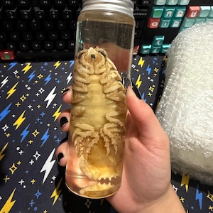 Isabelle added a photo of their purchase