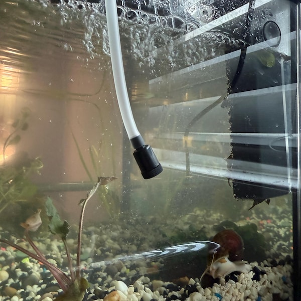 Inexpensive Cichlid Aquarium Kits Reference: 60 75 Gallon Freshwater African Cichlid Aquarium