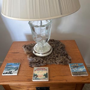 Paula added a photo of their purchase
