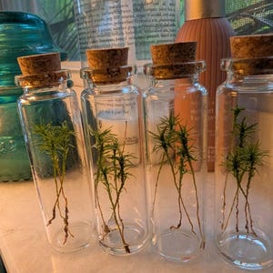 Etsy-köpare lade till en bild av sitt köp