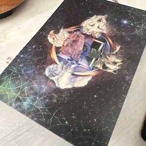 Hayley added a photo of their purchase