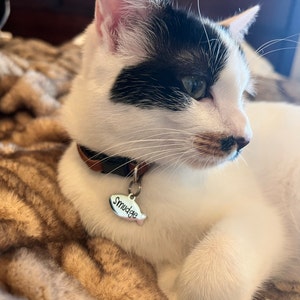 Becky added a photo of their purchase