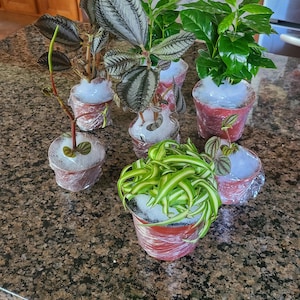 Anna added a photo of their purchase