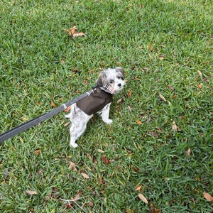 Frederica added a photo of their purchase