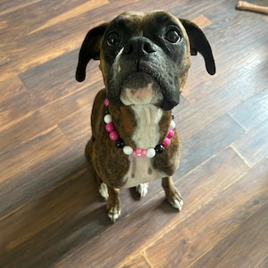 Kimberly added a photo of their purchase