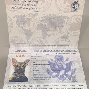 How to Get Pet Passport in Usa 