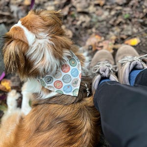 Taylor added a photo of their purchase