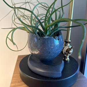 Graham added a photo of their purchase