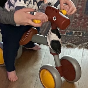 Carol a ajouté une photo de son achat