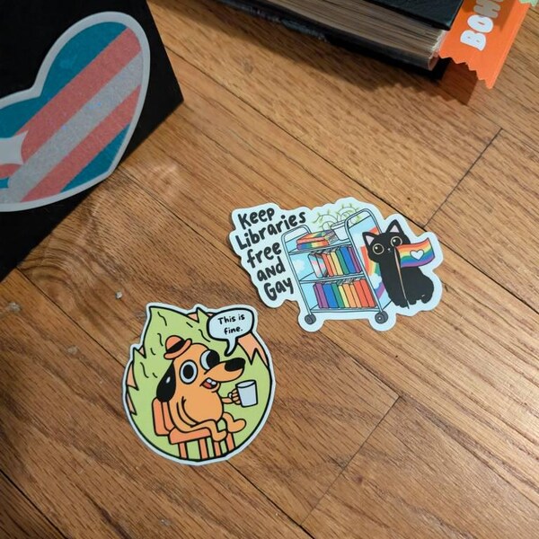 Keep Libraries Free & Gay Pride Vinyl Sticker, Library Water Bottle ...