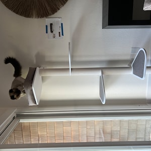 Anna added a photo of their purchase