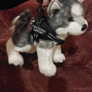 ESSA ハスキー犬 感情支援ぬいぐるみ 名入れギフト玩具 - Etsy 日本