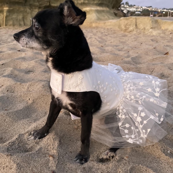 Cream Dog Wedding Dress Tutu With Floral Glitter, Sparkly Pet Outfit ...