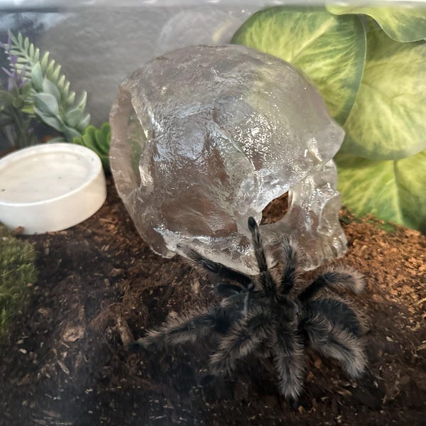 Bamboo Ring on a String Game Ring. Toss Game for Adults & Family Hook ...