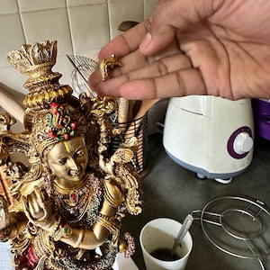 Hemalatha added a photo of their purchase