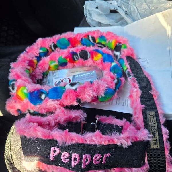 Custom Ribbon Display, Dog Award Ribbon Display Rack, Dog Rosette ...