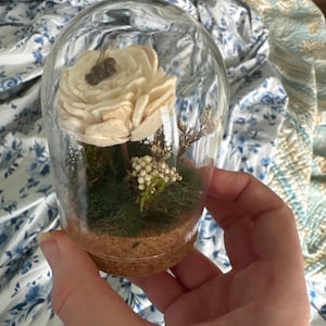 Sara added a photo of their purchase