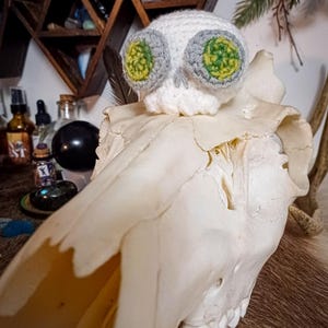 Pelagius added a photo of their purchase