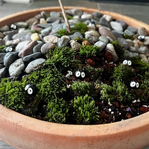 Debby added a photo of their purchase