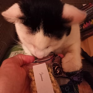 Hadley added a photo of their purchase