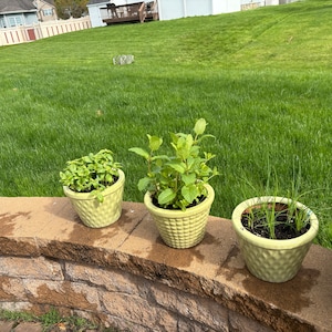 Deanna added a photo of their purchase