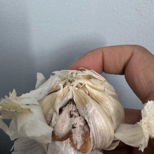 Srineeth added a photo of their purchase