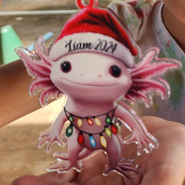 Mischief Santa Couple 2025 Ornament - Personalized Christmas Gift For