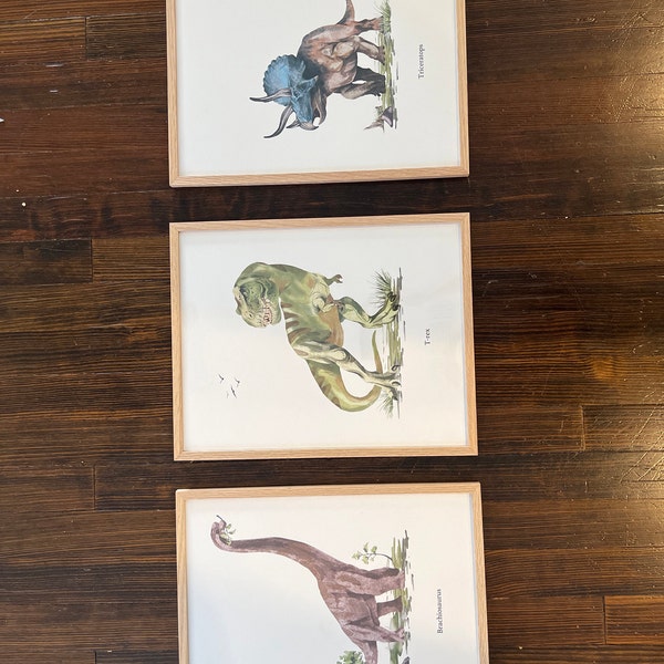 DINOSAUR WALL ART, Set of 3, Boys Room Dino Poster, Dinosaur Art Prints ...