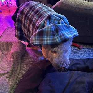 Shawn heeft een foto van de aankoop toegevoegd