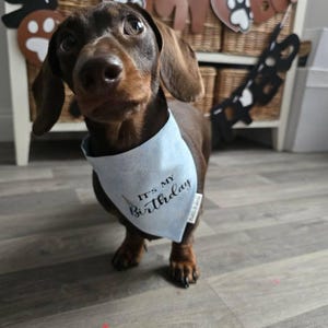 becca added a photo of their purchase