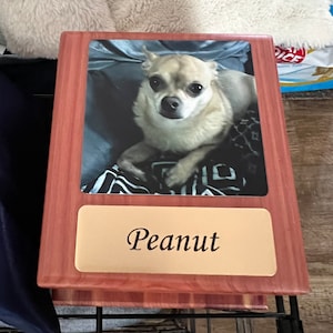 Jaclyn added a photo of their purchase