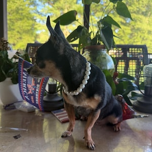 Walt added a photo of their purchase